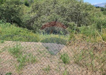 Giardino - Terreno agricolo contrada scorciagatto
 
snc, Castiglione di Sicilia - foto 5