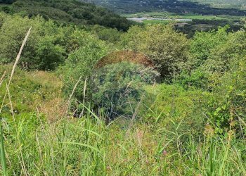 Vista delle montagne - Terreno agricolo contrada scorciagatto
 
snc, Castiglione di Sicilia - foto 10