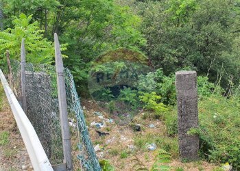 Giardino - Terreno agricolo contrada scorciagatto
 
snc, Castiglione di Sicilia - foto 12