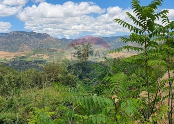 Vista delle montagne - Terreno agricolo contrada scorciagatto
 
snc, Castiglione di Sicilia - foto 13