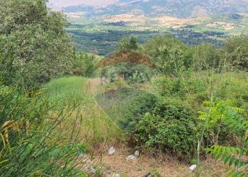 Vista delle montagne - Terreno agricolo contrada scorciagatto
 
snc, Castiglione di Sicilia - foto 14