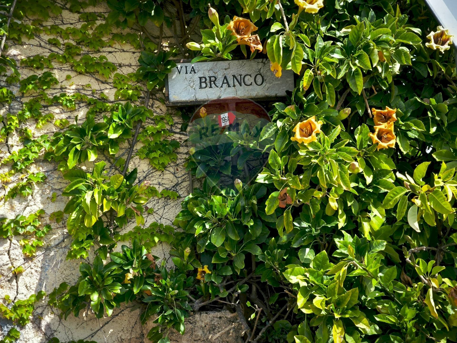 Giardino - Box Via Branco, Taormina - foto 3