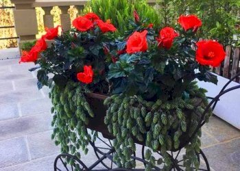 Foto 3 - Quadrilocale via di Capornia
 
18, Firenze - foto 3