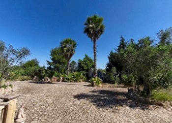 Foto 28 - Villa Contrada Castellana, Gallipoli - foto 28