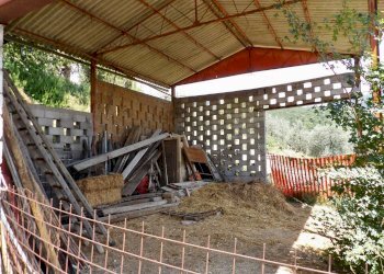 Foto 33 - Independent house Via Case Sparse
0, Ferentillo - photo 33