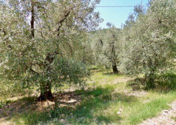 Foto 37 - Independent house Via Case Sparse
0, Ferentillo - photo 37