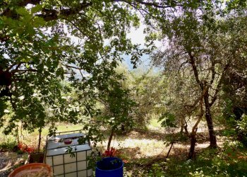 Foto 43 - Independent house Via Case Sparse
0, Ferentillo - photo 43