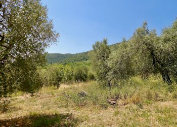 Foto 45 - Independent house Via Case Sparse
0, Ferentillo - photo 45