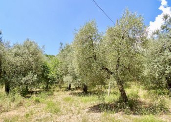 Foto 46 - Independent house Via Case Sparse
0, Ferentillo - photo 46