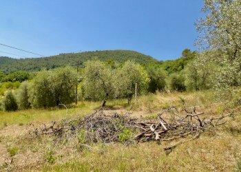 Foto 49 - Independent house Via Case Sparse
0, Ferentillo - photo 49