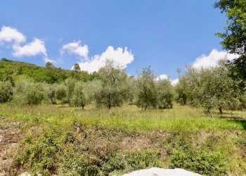 Foto 53 - Independent house Via Case Sparse
0, Ferentillo - photo 53