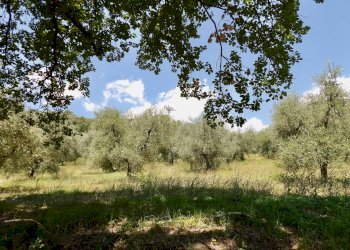 Foto 54 - Independent house Via Case Sparse
0, Ferentillo - photo 54