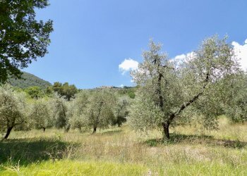 Foto 56 - Independent house Via Case Sparse
0, Ferentillo - photo 56