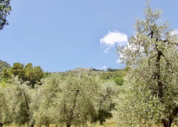 Foto 57 - Independent house Via Case Sparse
0, Ferentillo - photo 57