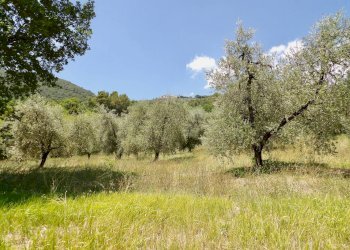 Foto 59 - Independent house Via Case Sparse
0, Ferentillo - photo 59