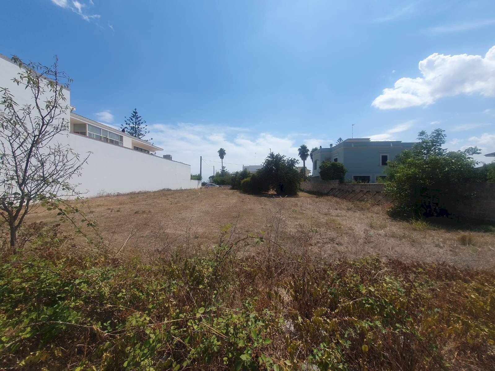 Foto 2 - Building land Montesano Salentino - photo 2