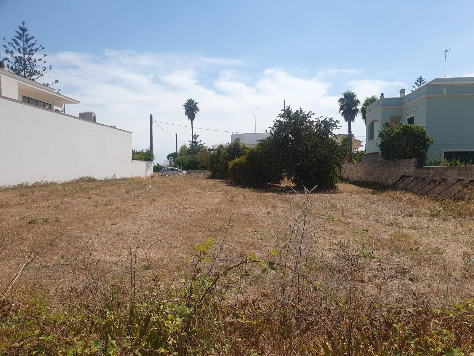 Foto 3 - Building land Montesano Salentino - photo 3