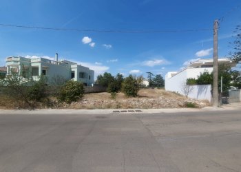 Foto 4 - Terreno edificabile Montesano Salentino - foto 4