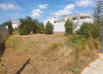 Foto 6 - Terreno edificabile Montesano Salentino - foto 6