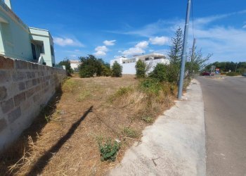 Foto 7 - Terreno edificabile Montesano Salentino - foto 7