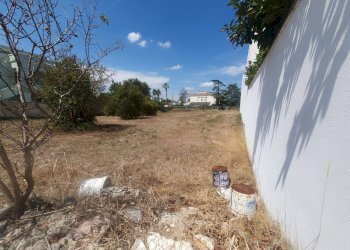 Foto 8 - Terreno edificabile Montesano Salentino - foto 8