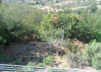 Foto 36 - Casa indipendente Via XX Settembre
 
120, Tortoreto - foto 36