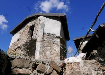 Casale Apricale - foto 15