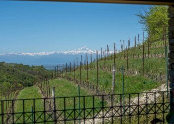 Cascina Serravalle Langhe - foto 11