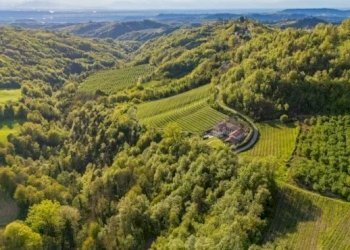 Cascina Serravalle Langhe - foto 27