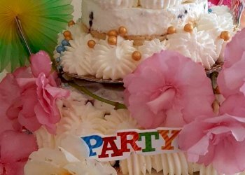 Attività Commerciale Campogalliano - foto 7