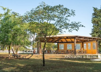 Villa Unifamiliare Via G. Carducci, 7, Castiglione del Lago - foto 37