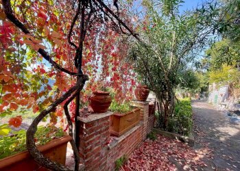 Appartamento Arcinazzo Romano - foto 9