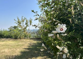 Casa indipendente Montelupo Albese - foto 15