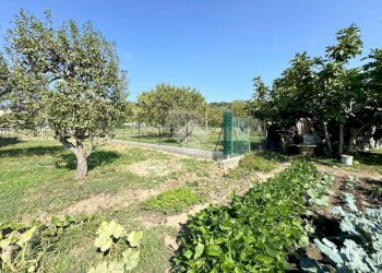 Terreno edificabile Strada al colletto, Pinerolo - foto 10