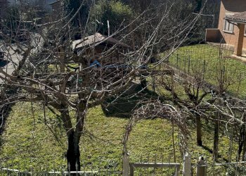 Foto 11 - Semi-detached house contrada capodipiano
 
34, Venarotta - photo 11