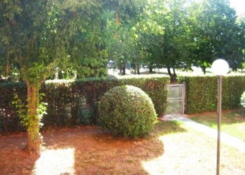 Foto 1 - Appartamento VIA GIUSEPPE MALAGOLI, Pisa - foto 1