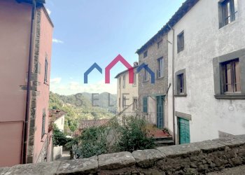 Foto 3 - Casa semi indipendente Pescaglia - foto 3