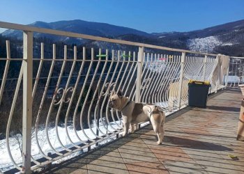 Foto 48 - Villa Pallareto
 
14, Murialdo - foto 48