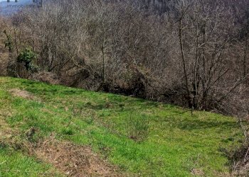 Foto 54 - Villa Pallareto
 
14, Murialdo - foto 54