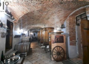 Foto 27 - Villa regione bagnario
 
47, Strevi - foto 27