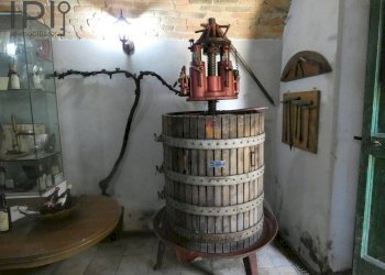 Foto 31 - Villa regione bagnario
 
47, Strevi - foto 31