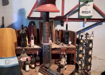 Foto 34 - Villa regione bagnario
 
47, Strevi - foto 34