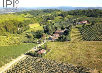 Foto 101 - Villa regione bagnario
 
47, Strevi - foto 100