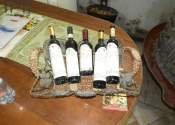 Foto 111 - Villa regione bagnario
 
47, Strevi - foto 110