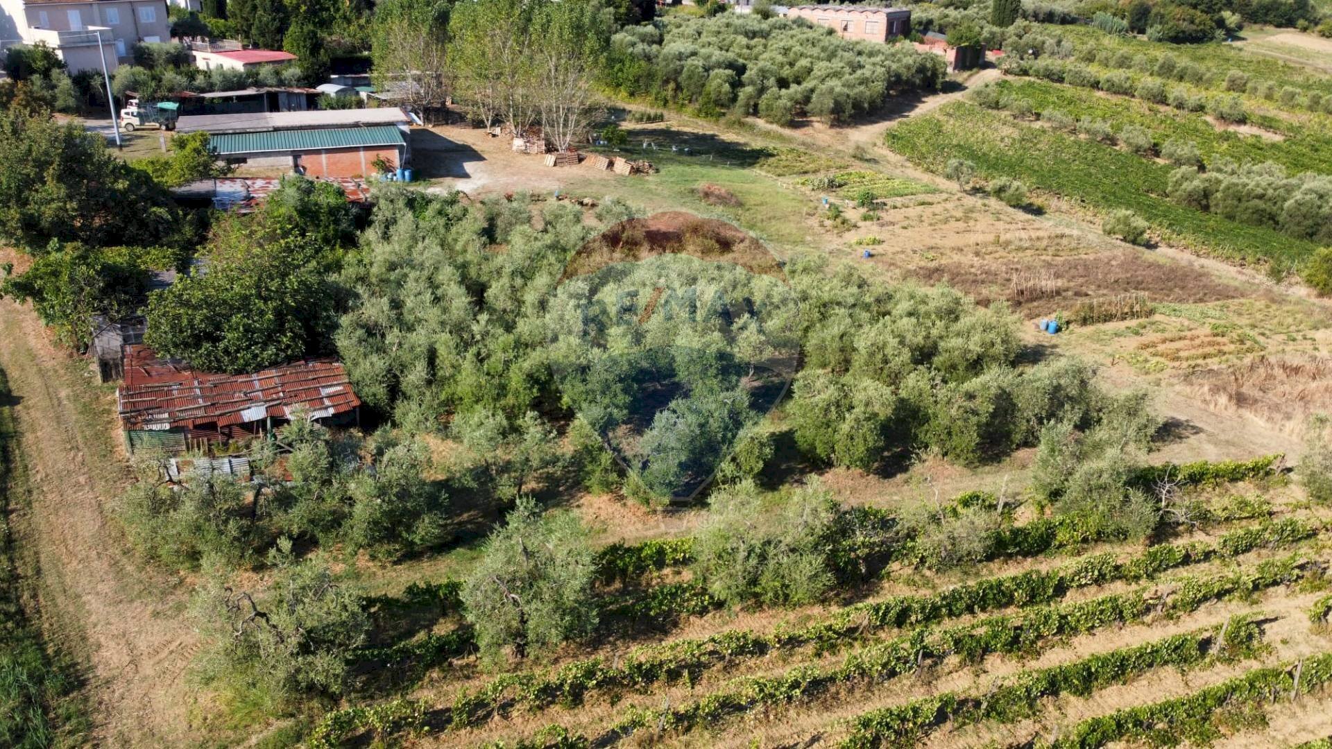 Vista delle montagne - Terreno agricolo Via Cerretana
164, Vinci - foto 2