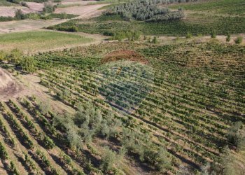 Vista delle montagne - Terreno agricolo Via Cerretana
 
164, Vinci - foto 6
