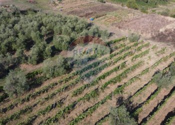 Posizione della mappa - Terreno agricolo Via Cerretana
 
164, Vinci - foto 8