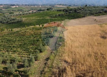 Vista delle montagne - Terreno agricolo Via Cerretana
 
164, Vinci - foto 10
