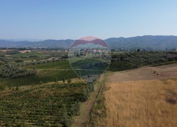 Vista delle montagne - Terreno agricolo Via Cerretana
 
164, Vinci - foto 11
