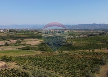 Vista delle montagne - Terreno agricolo Via Cerretana
 
164, Vinci - foto 12